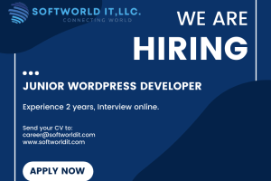 Junior WordPress Developer